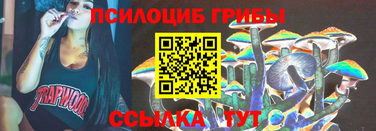 Армавир  Псилоцибиновые грибы мицелий  Вход с VPN  Галлюциногенные грибы Magic Shrooms 