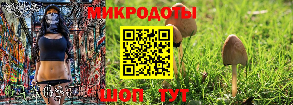 Псилоцибиновые грибы прущие грибы Армавир